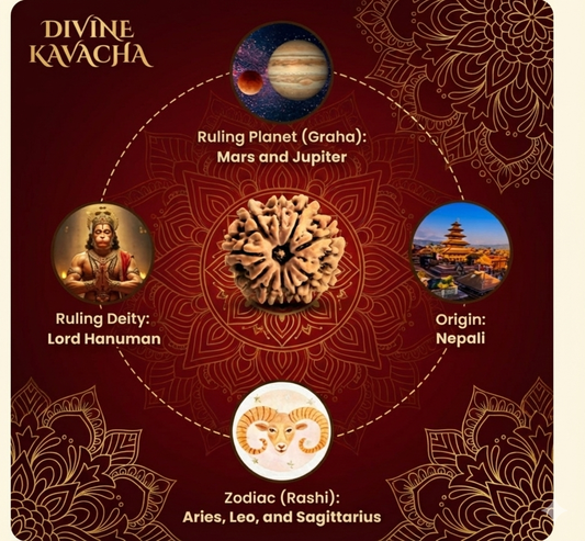 Nine Mukhi Rudraksha Certified/Original Nepali 9 Mukhi Rudraksh/Natural 9 Faced Rudraksha (Brown) with Certificate and Puja Instructions