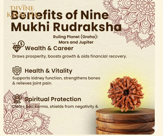 Nine Mukhi Rudraksha Certified/Original Nepali 9 Mukhi Rudraksh/Natural 9 Faced Rudraksha (Brown) with Certificate and Puja Instructions