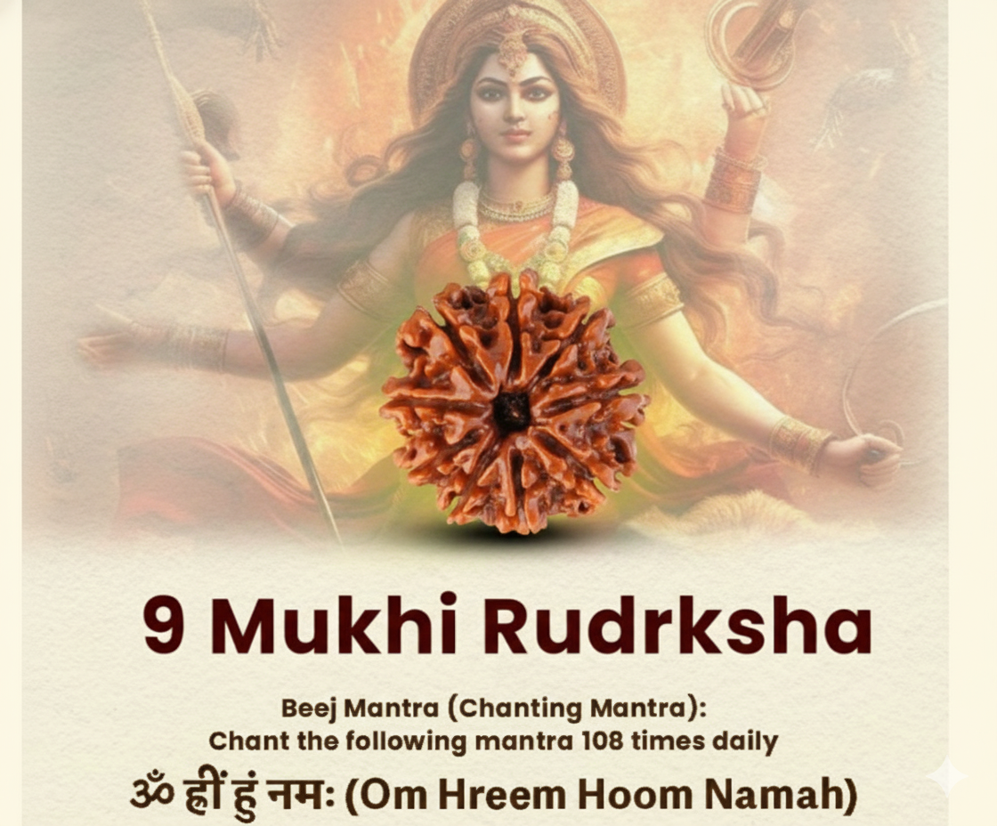 Nine Mukhi Rudraksha Certified/Original Nepali 9 Mukhi Rudraksh/Natural 9 Faced Rudraksha (Brown) with Certificate and Puja Instructions